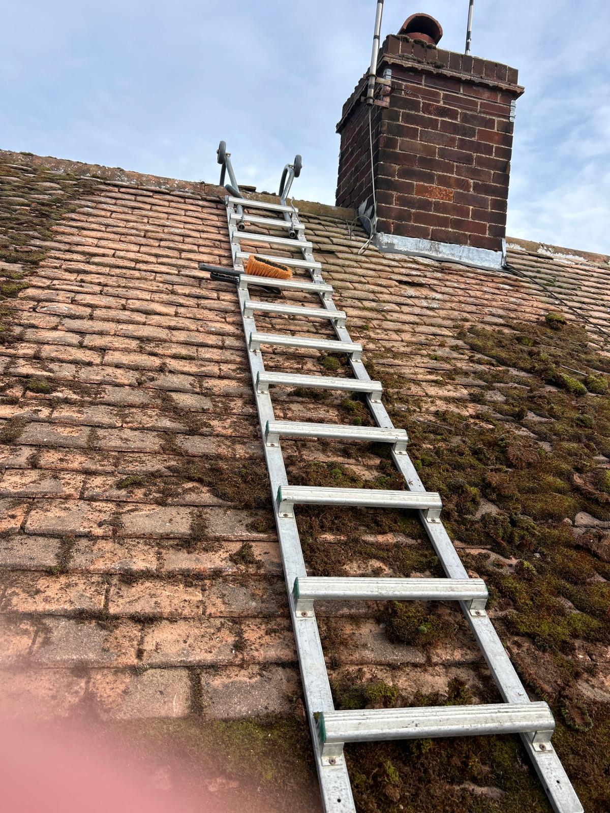 Tiled roof moss removal