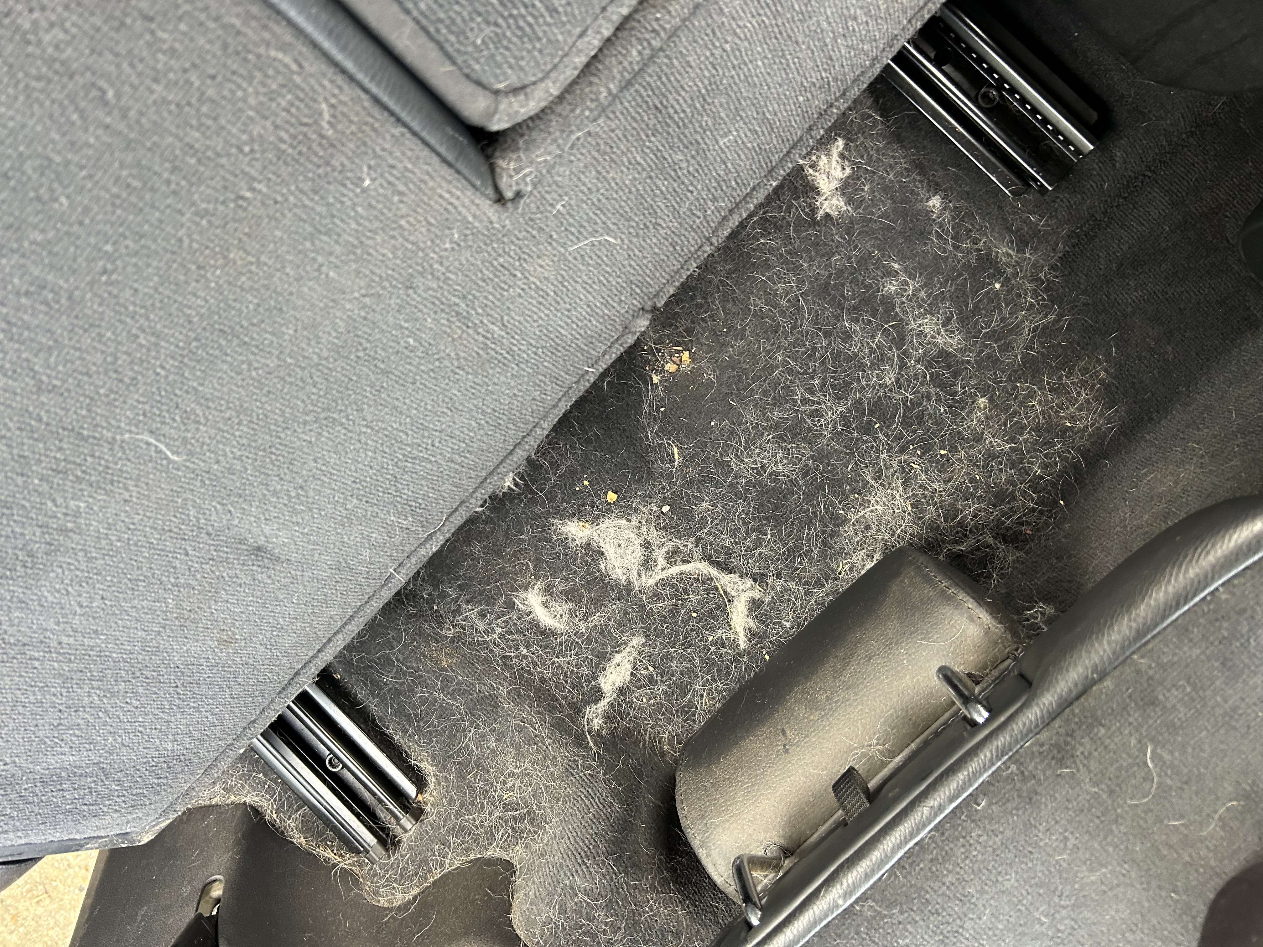 Pet hair removal/ Interior car clean 